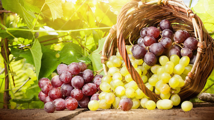 Польза и вред винограда